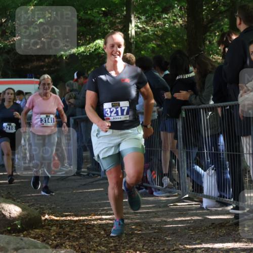 28.09.2025 - 33. Volkslauf durch das schöne Alstertal Strokosch-Dieckow http://msf.ph/oto/8966213 28.09.2025 11:32:35 Ziel 3141, 3217, 3218, 3358, 3959 meine-sportfotos.de