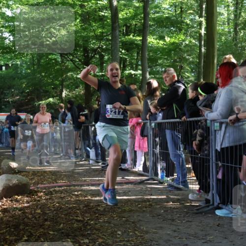 28.09.2025 - 33. Volkslauf durch das schöne Alstertal Strokosch-Dieckow http://msf.ph/oto/8966224 28.09.2025 11:32:36 Ziel 3141, 3217, 3218, 3358, 3959 meine-sportfotos.de