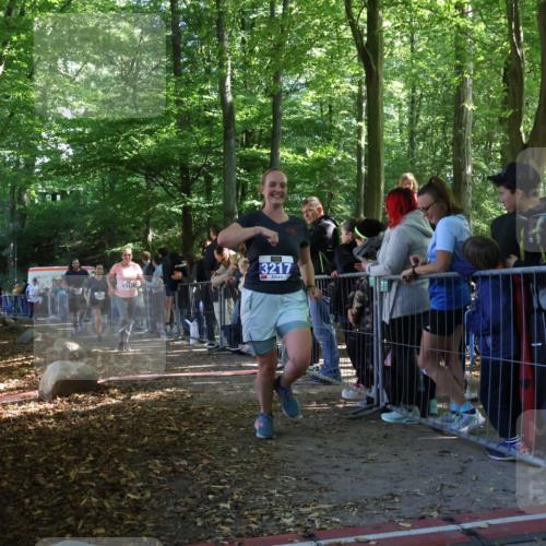 28.09.2025 - 33. Volkslauf durch das schöne Alstertal Strokosch-Dieckow http://msf.ph/oto/8966230 28.09.2025 11:32:36 Ziel 3141, 3217, 3218, 3358, 3959 meine-sportfotos.de