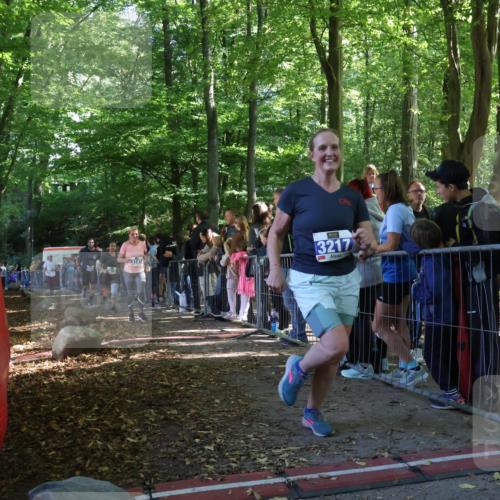 28.09.2025 - 33. Volkslauf durch das schöne Alstertal Strokosch-Dieckow http://msf.ph/oto/8966237 28.09.2025 11:32:37 Ziel 3141, 3217, 3218, 3358, 3959 meine-sportfotos.de