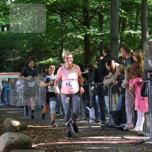 28.09.2025 - 33. Volkslauf durch das schöne Alstertal Strokosch-Dieckow http://msf.ph/oto/8966243 28.09.2025 11:32:37 Ziel 3141, 3217, 3218, 3358, 3959 meine-sportfotos.de