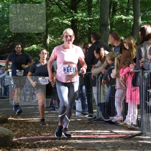 28.09.2025 - 33. Volkslauf durch das schöne Alstertal Strokosch-Dieckow http://msf.ph/oto/8966248 28.09.2025 11:32:38 Ziel 3141, 3218, 3358, 3959 meine-sportfotos.de