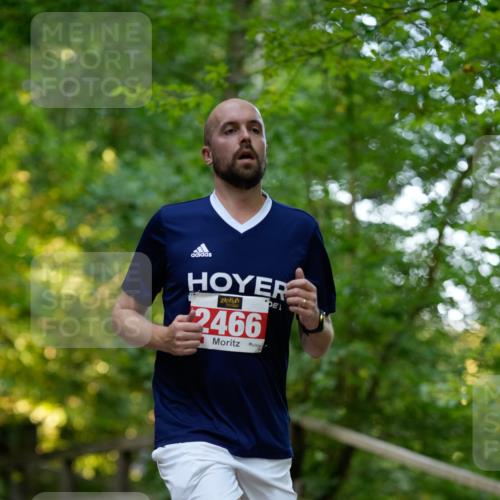 28.09.2025 - 33. Volkslauf durch das schöne Alstertal Patografie http://msf.ph/oto/8966255 28.09.2025 09:34:03 Laufen 2466 meine-sportfotos.de