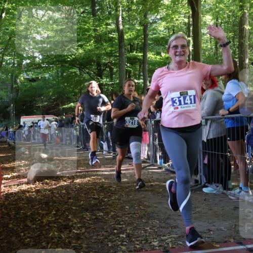 28.09.2025 - 33. Volkslauf durch das schöne Alstertal Strokosch-Dieckow http://msf.ph/oto/8966264 28.09.2025 11:32:39 Ziel 3141, 3218, 3358, 3959 meine-sportfotos.de