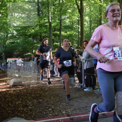 28.09.2025 - 33. Volkslauf durch das schöne Alstertal Strokosch-Dieckow http://msf.ph/oto/8966270 28.09.2025 11:32:40 Ziel 3218, 3358, 3959 meine-sportfotos.de