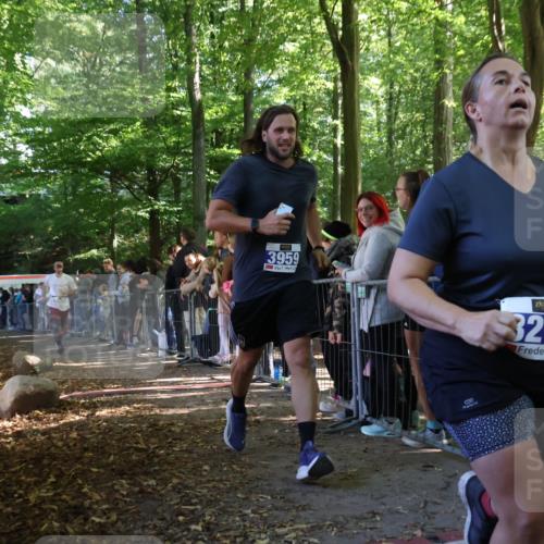 28.09.2025 - 33. Volkslauf durch das schöne Alstertal Strokosch-Dieckow http://msf.ph/oto/8966282 28.09.2025 11:32:40 Ziel 3218, 3358, 3959 meine-sportfotos.de