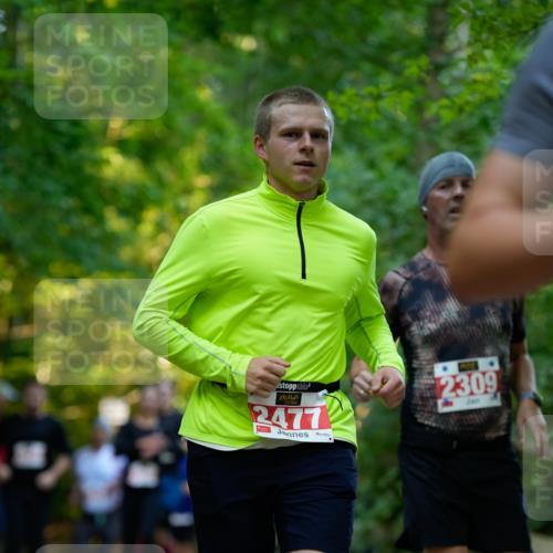 28.09.2025 - 33. Volkslauf durch das schöne Alstertal Patografie http://msf.ph/oto/8966286 28.09.2025 09:34:57 Laufen 2477, 2309 meine-sportfotos.de