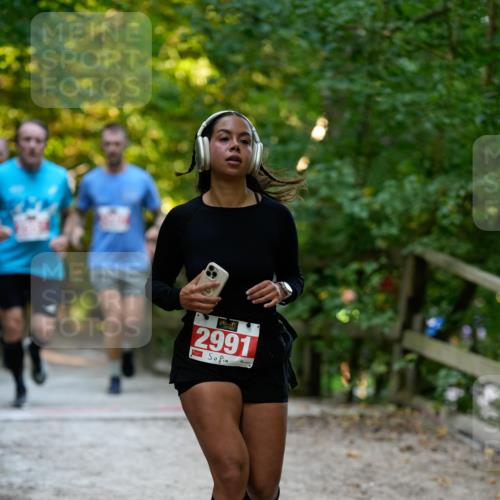 28.09.2025 - 33. Volkslauf durch das schöne Alstertal Patografie http://msf.ph/oto/8966311 28.09.2025 09:35:36 Laufen 2991 meine-sportfotos.de