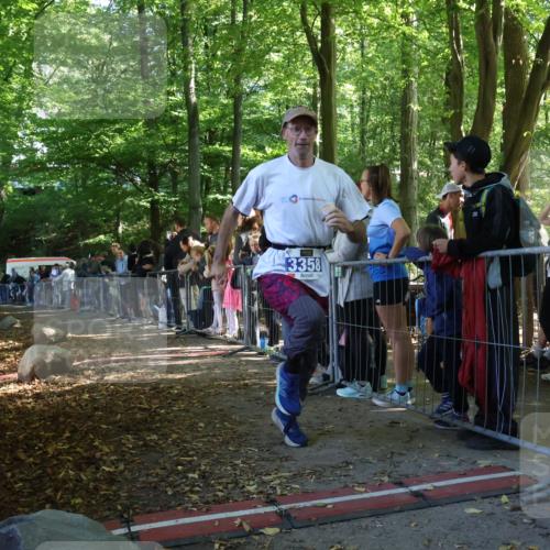 28.09.2025 - 33. Volkslauf durch das schöne Alstertal Strokosch-Dieckow http://msf.ph/oto/8966316 28.09.2025 11:32:43 Ziel 3358 meine-sportfotos.de
