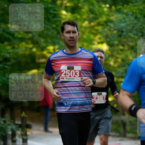 28.09.2025 - 33. Volkslauf durch das schöne Alstertal Patografie http://msf.ph/oto/8966318 28.09.2025 09:35:47 Laufen 2503, 2387 meine-sportfotos.de