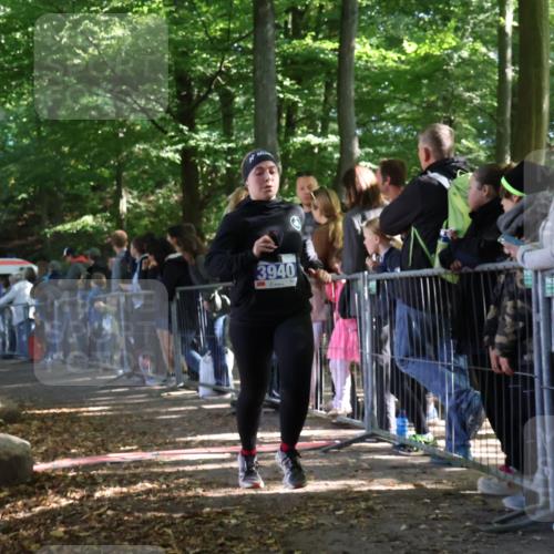 28.09.2025 - 33. Volkslauf durch das schöne Alstertal Strokosch-Dieckow http://msf.ph/oto/8966331 28.09.2025 11:32:55 Ziel 3940 meine-sportfotos.de