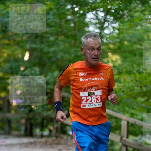 28.09.2025 - 33. Volkslauf durch das schöne Alstertal Patografie http://msf.ph/oto/8966332 28.09.2025 09:36:14 Laufen 2263 meine-sportfotos.de