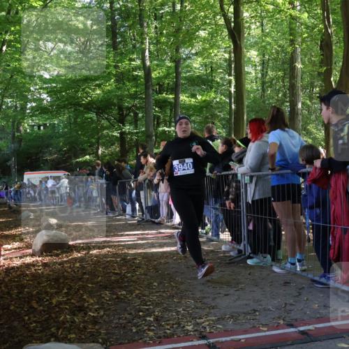 28.09.2025 - 33. Volkslauf durch das schöne Alstertal Strokosch-Dieckow http://msf.ph/oto/8966338 28.09.2025 11:32:55 Ziel 3940 meine-sportfotos.de