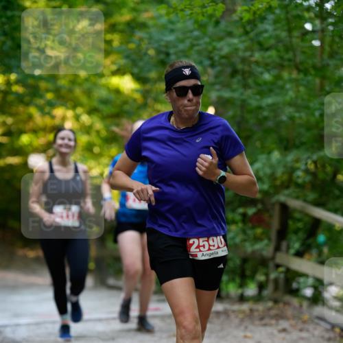 28.09.2025 - 33. Volkslauf durch das schöne Alstertal Patografie http://msf.ph/oto/8966339 28.09.2025 09:36:19 Laufen 2590 meine-sportfotos.de