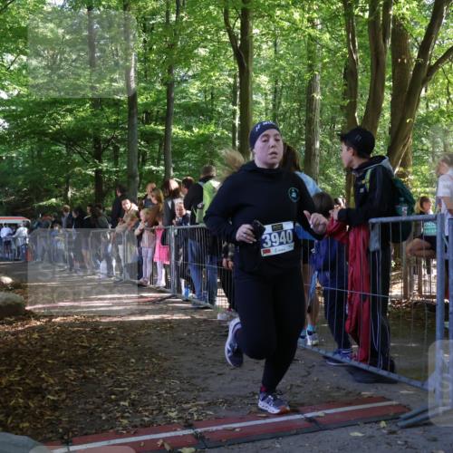 28.09.2025 - 33. Volkslauf durch das schöne Alstertal Strokosch-Dieckow http://msf.ph/oto/8966343 28.09.2025 11:32:56 Ziel 3940 meine-sportfotos.de