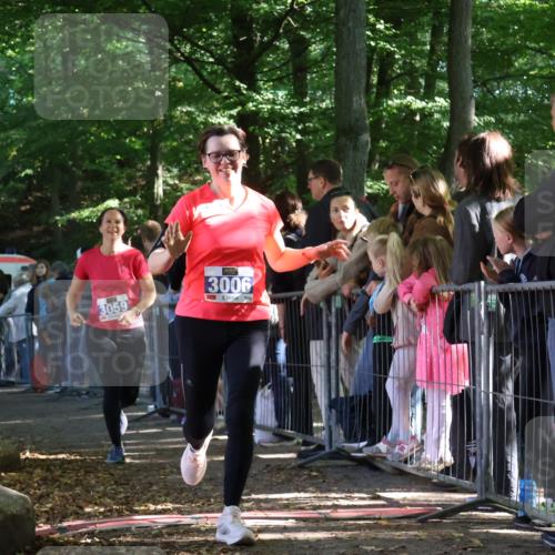 28.09.2025 - 33. Volkslauf durch das schöne Alstertal Strokosch-Dieckow http://msf.ph/oto/8966354 28.09.2025 11:33:08 Ziel 3006, 3059 meine-sportfotos.de