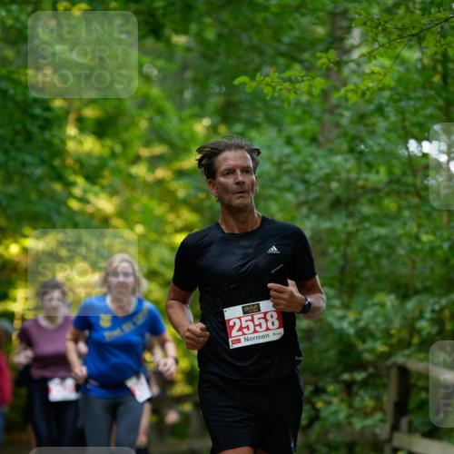 28.09.2025 - 33. Volkslauf durch das schöne Alstertal Patografie http://msf.ph/oto/8966373 28.09.2025 09:37:10 Laufen 2558, 2 meine-sportfotos.de