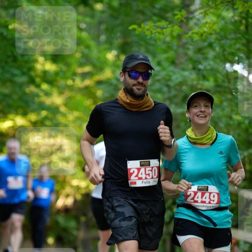 28.09.2025 - 33. Volkslauf durch das schöne Alstertal Patografie http://msf.ph/oto/8966382 28.09.2025 09:37:30 Laufen 2450, 2449 meine-sportfotos.de