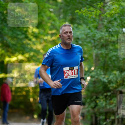 28.09.2025 - 33. Volkslauf durch das schöne Alstertal Patografie http://msf.ph/oto/8966384 28.09.2025 09:37:32 Laufen 2018 meine-sportfotos.de