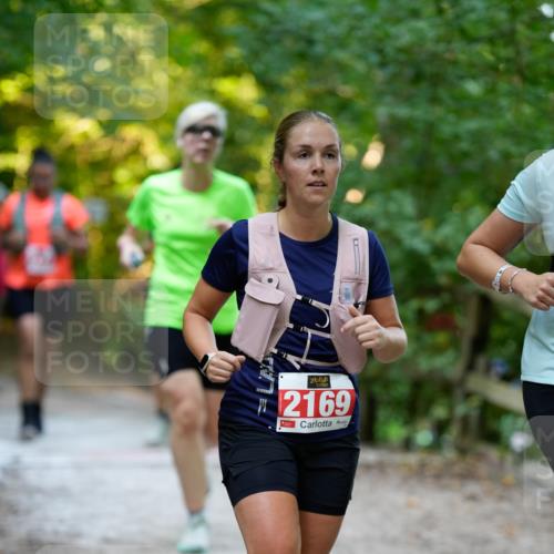 28.09.2025 - 33. Volkslauf durch das schöne Alstertal Patografie http://msf.ph/oto/8966413 28.09.2025 09:38:37 Laufen 2169 meine-sportfotos.de