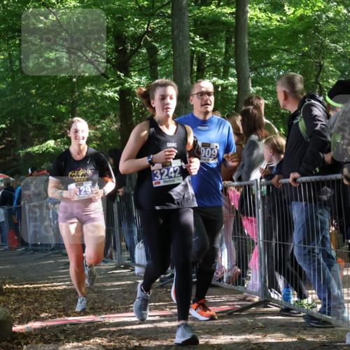28.09.2025 - 33. Volkslauf durch das schöne Alstertal Strokosch-Dieckow http://msf.ph/oto/8966426 28.09.2025 11:33:27 Ziel 3009, 3064, 3129, 3242 meine-sportfotos.de