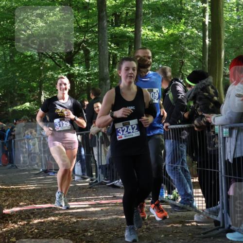 28.09.2025 - 33. Volkslauf durch das schöne Alstertal Strokosch-Dieckow http://msf.ph/oto/8966432 28.09.2025 11:33:28 Ziel 3009, 3129, 3242 meine-sportfotos.de