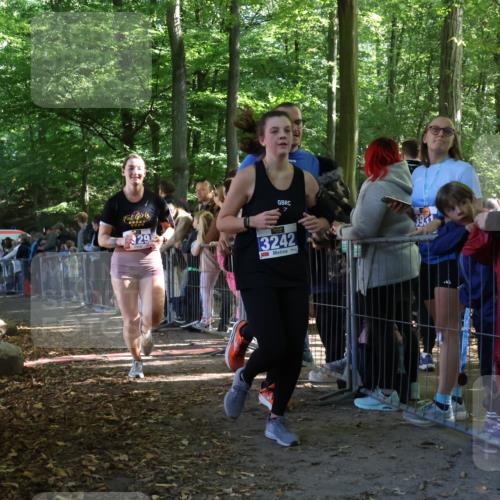 28.09.2025 - 33. Volkslauf durch das schöne Alstertal Strokosch-Dieckow http://msf.ph/oto/8966439 28.09.2025 11:33:28 Ziel 3009, 3129, 3242 meine-sportfotos.de