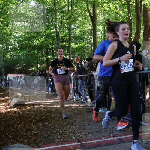 28.09.2025 - 33. Volkslauf durch das schöne Alstertal Strokosch-Dieckow http://msf.ph/oto/8966444 28.09.2025 11:33:29 Ziel 3129, 3242 meine-sportfotos.de