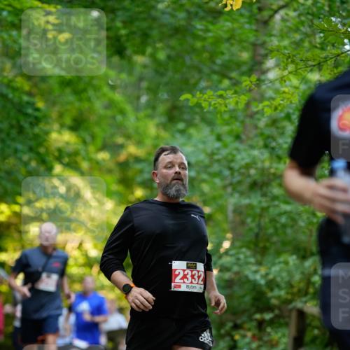28.09.2025 - 33. Volkslauf durch das schöne Alstertal Patografie http://msf.ph/oto/8966446 28.09.2025 09:39:43 Laufen 2332 meine-sportfotos.de