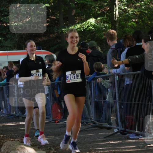 28.09.2025 - 33. Volkslauf durch das schöne Alstertal Strokosch-Dieckow http://msf.ph/oto/8966469 28.09.2025 11:33:40 Ziel 1520, 3004, 3013, 3015 meine-sportfotos.de