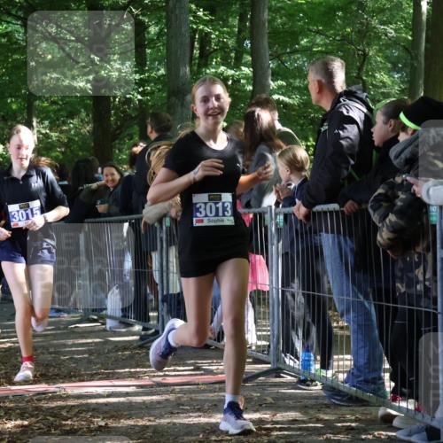28.09.2025 - 33. Volkslauf durch das schöne Alstertal Strokosch-Dieckow http://msf.ph/oto/8966489 28.09.2025 11:33:42 Ziel 1520, 3004, 3013, 3015, 3103 meine-sportfotos.de