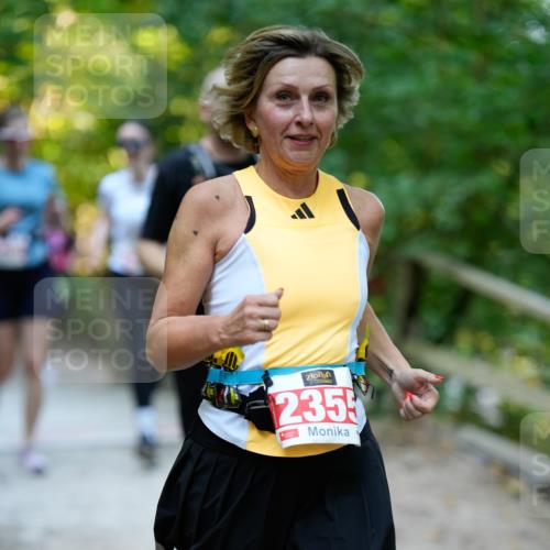 28.09.2025 - 33. Volkslauf durch das schöne Alstertal Patografie http://msf.ph/oto/8966494 28.09.2025 09:40:59 Laufen 2355 meine-sportfotos.de