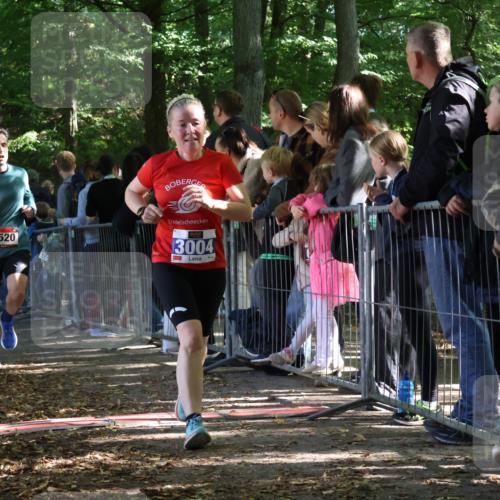 28.09.2025 - 33. Volkslauf durch das schöne Alstertal Strokosch-Dieckow http://msf.ph/oto/8966511 28.09.2025 11:33:44 Ziel 1520, 3004, 3013, 3015, 3103 meine-sportfotos.de