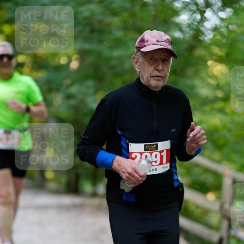 28.09.2025 - 33. Volkslauf durch das schöne Alstertal Patografie http://msf.ph/oto/8966515 28.09.2025 09:41:57 Laufen 2091, 9 meine-sportfotos.de