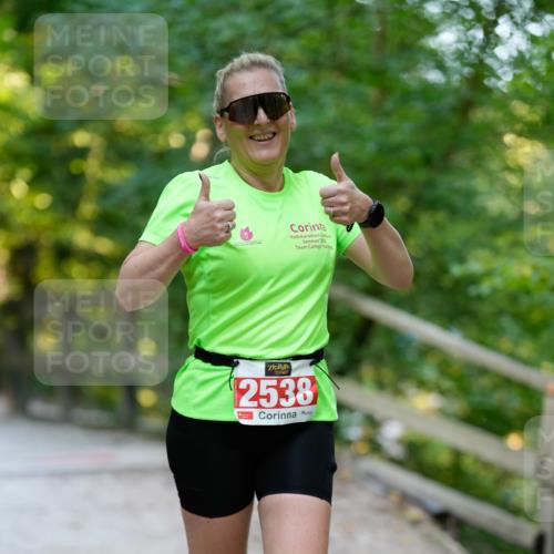 28.09.2025 - 33. Volkslauf durch das schöne Alstertal Patografie http://msf.ph/oto/8966516 28.09.2025 09:41:58 Laufen 225, 2538 meine-sportfotos.de