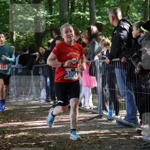 28.09.2025 - 33. Volkslauf durch das schöne Alstertal Strokosch-Dieckow http://msf.ph/oto/8966517 28.09.2025 11:33:45 Ziel 1520, 3004, 3103 meine-sportfotos.de