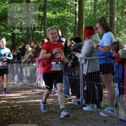 28.09.2025 - 33. Volkslauf durch das schöne Alstertal Strokosch-Dieckow http://msf.ph/oto/8966522 28.09.2025 11:33:45 Ziel 1520, 3004, 3103 meine-sportfotos.de