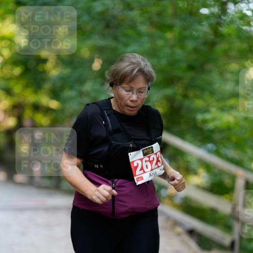 28.09.2025 - 33. Volkslauf durch das schöne Alstertal Patografie http://msf.ph/oto/8966526 28.09.2025 09:43:29 Laufen 2623 meine-sportfotos.de
