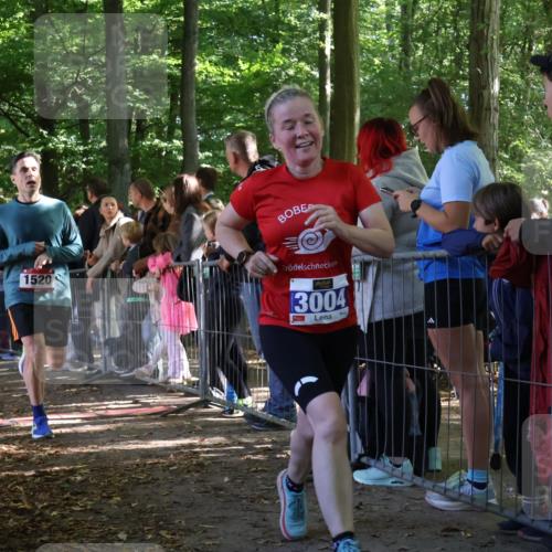 28.09.2025 - 33. Volkslauf durch das schöne Alstertal Strokosch-Dieckow http://msf.ph/oto/8966528 28.09.2025 11:33:46 Ziel 1520, 3004, 3103 meine-sportfotos.de