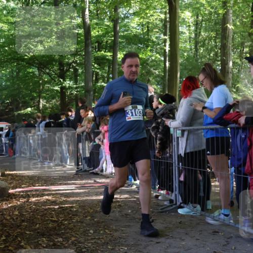 28.09.2025 - 33. Volkslauf durch das schöne Alstertal Strokosch-Dieckow http://msf.ph/oto/8966559 28.09.2025 11:33:51 Ziel 3103 meine-sportfotos.de