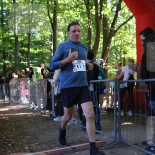 28.09.2025 - 33. Volkslauf durch das schöne Alstertal Strokosch-Dieckow http://msf.ph/oto/8966571 28.09.2025 11:33:52 Ziel  meine-sportfotos.de