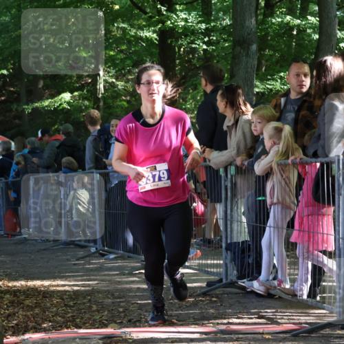 28.09.2025 - 33. Volkslauf durch das schöne Alstertal Strokosch-Dieckow http://msf.ph/oto/8966656 28.09.2025 11:34:15 Ziel 3092, 3379 meine-sportfotos.de