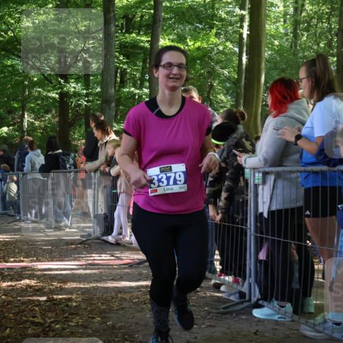 28.09.2025 - 33. Volkslauf durch das schöne Alstertal Strokosch-Dieckow http://msf.ph/oto/8966666 28.09.2025 11:34:17 Ziel 3379 meine-sportfotos.de