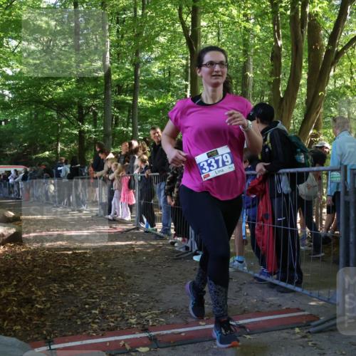 28.09.2025 - 33. Volkslauf durch das schöne Alstertal Strokosch-Dieckow http://msf.ph/oto/8966672 28.09.2025 11:34:17 Ziel 3379 meine-sportfotos.de