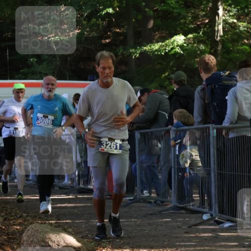 28.09.2025 - 33. Volkslauf durch das schöne Alstertal Strokosch-Dieckow http://msf.ph/oto/8966685 28.09.2025 11:34:24 Ziel 3086, 3182, 3261 meine-sportfotos.de