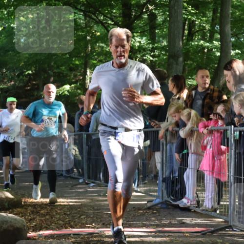 28.09.2025 - 33. Volkslauf durch das schöne Alstertal Strokosch-Dieckow http://msf.ph/oto/8966700 28.09.2025 11:34:27 Ziel 3086, 3182, 3261 meine-sportfotos.de