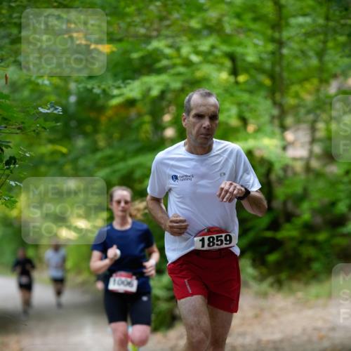 28.09.2025 - 33. Volkslauf durch das schöne Alstertal Patografie http://msf.ph/oto/8966702 28.09.2025 10:04:20 Laufen 1006, 1859 meine-sportfotos.de