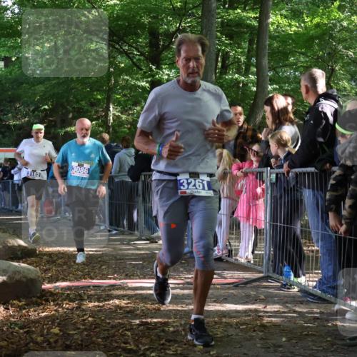 28.09.2025 - 33. Volkslauf durch das schöne Alstertal Strokosch-Dieckow http://msf.ph/oto/8966707 28.09.2025 11:34:27 Ziel 3086, 3182, 3261 meine-sportfotos.de