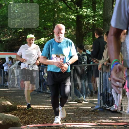 28.09.2025 - 33. Volkslauf durch das schöne Alstertal Strokosch-Dieckow http://msf.ph/oto/8966711 28.09.2025 11:34:28 Ziel 1003, 3086, 3182, 3261 meine-sportfotos.de