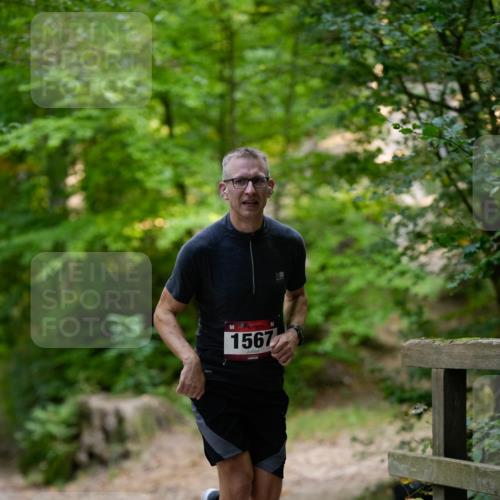 28.09.2025 - 33. Volkslauf durch das schöne Alstertal Patografie http://msf.ph/oto/8966713 28.09.2025 10:05:13 Laufen 1567 meine-sportfotos.de